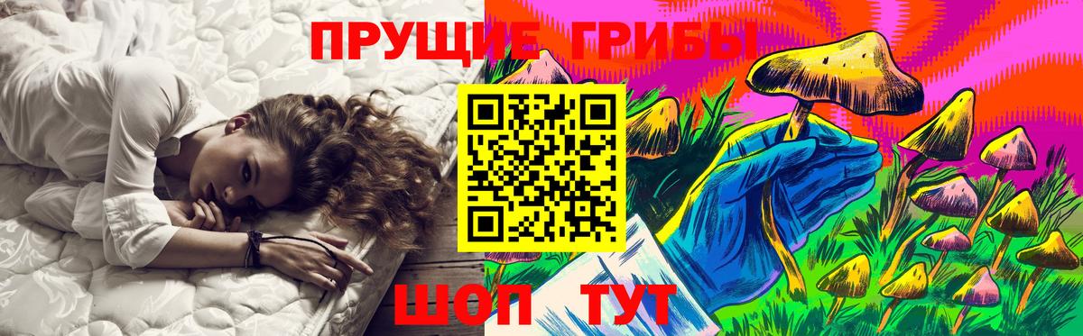 Псилоцибиновые грибы GOLDEN TEACHER Верхний Уфалей